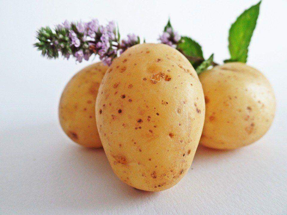 patate-2