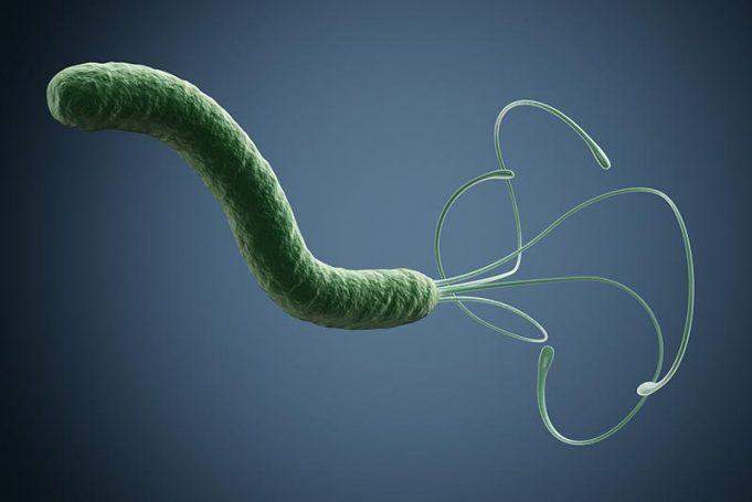 Helicobacter pylori ассоциированное заболевание показания и схемы антихеликобактерной терапии