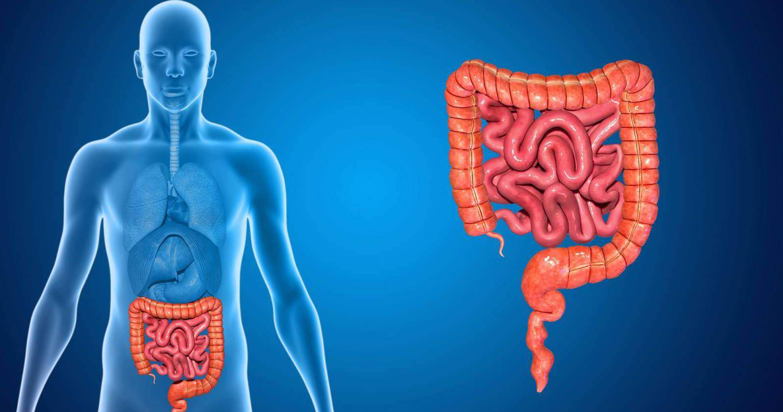 Duodeno infiammato o duodenite: cause, sintomi e cure - Sanioggi.it