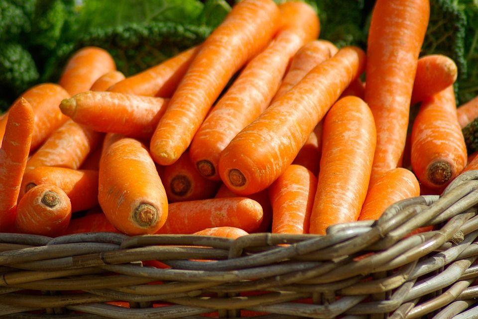 Tipi di carote: tutti i benefici